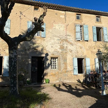 Les 3 Platanes Bed & Breakfast Conilhac-Corbieres Luaran gambar